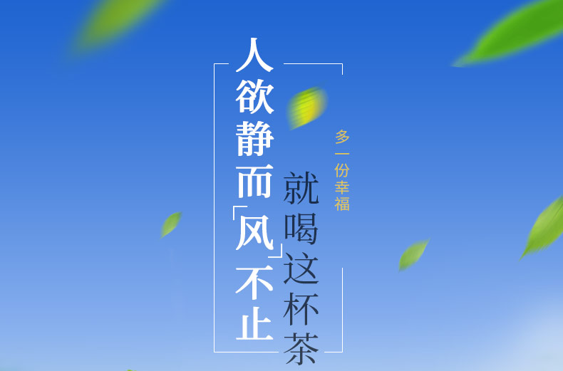 菊苣栀子茶(790)PC端_01.jpg